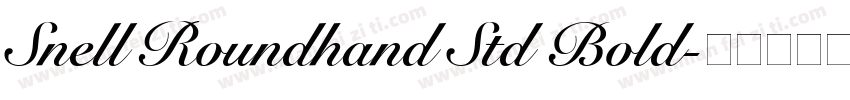 Snell Roundhand Std Bold字体转换